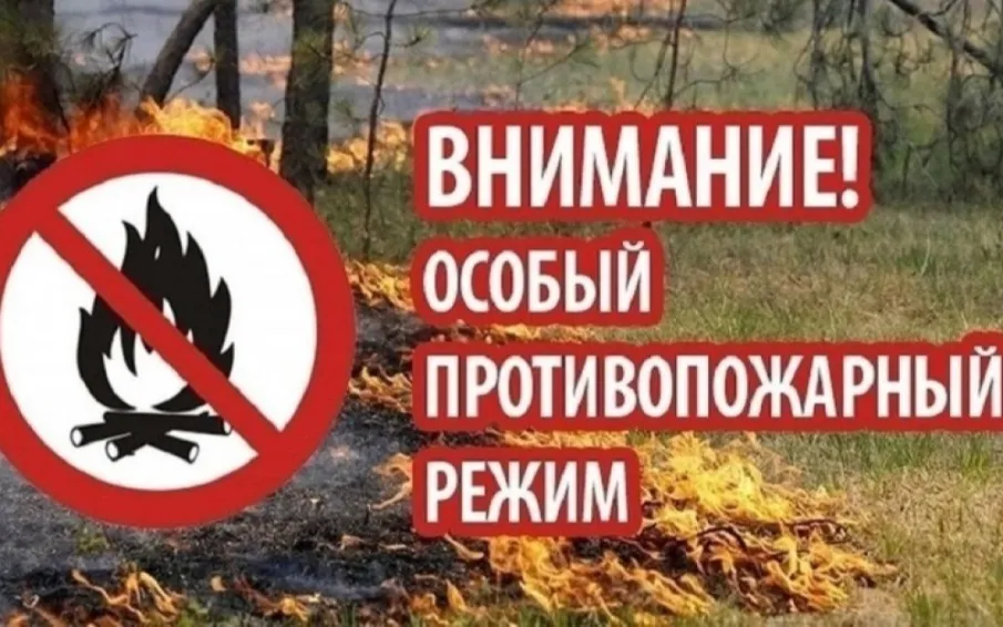 Напоминаем! На территории Нижегородской области введен особый противопожарный режим